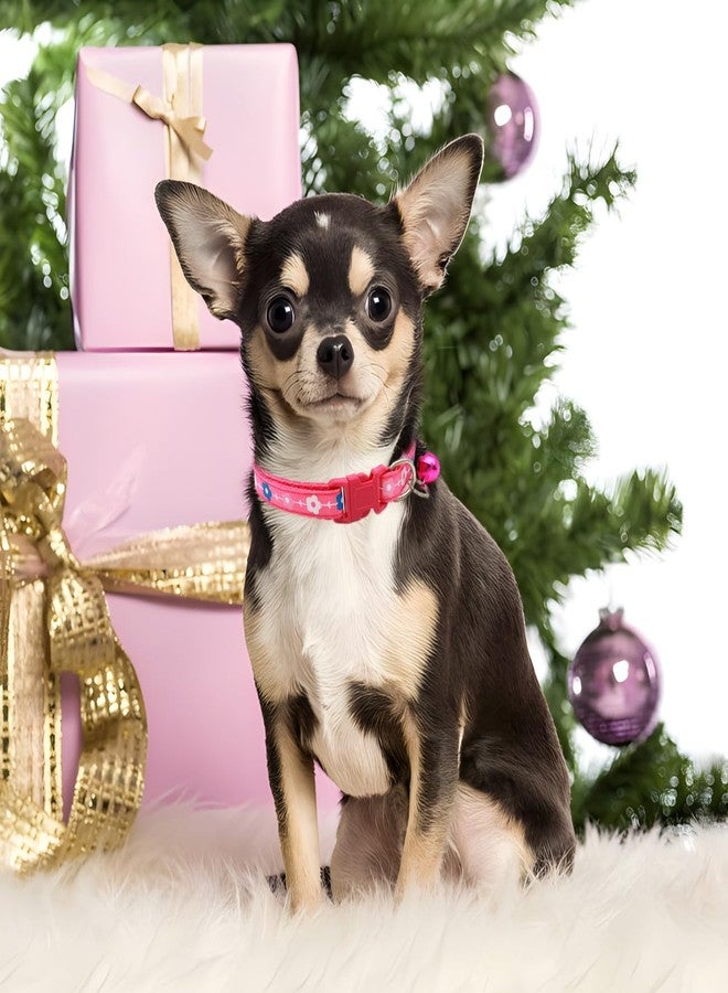 Weimostar XS Dogs Collar with Bell, 2 Pack Puppy Collars Girl Cute Soft Adjustable for XXS XSmall Extra Small Tiny Little Cats Pets Female Kitten Chihuahua Yorkie Rose Red and Purple - Image 3