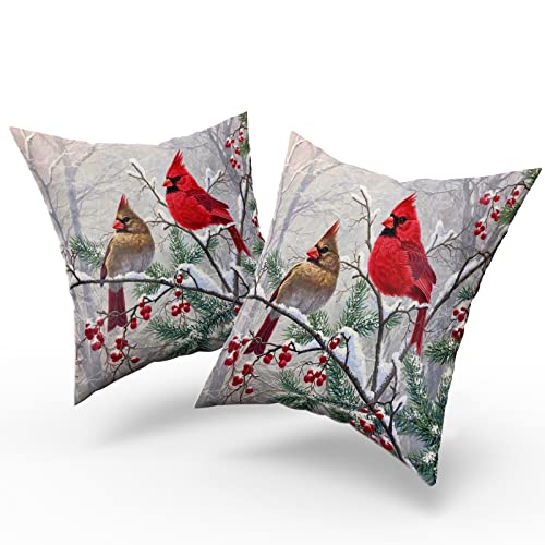 Giwawa Red Bird Throw Pillow Covers Set of 2 Sparrow Couch Pillow Cases Square Cotton Cushion Cover for Home Bed Sofa Decorative 16x16 Inch - Image 3