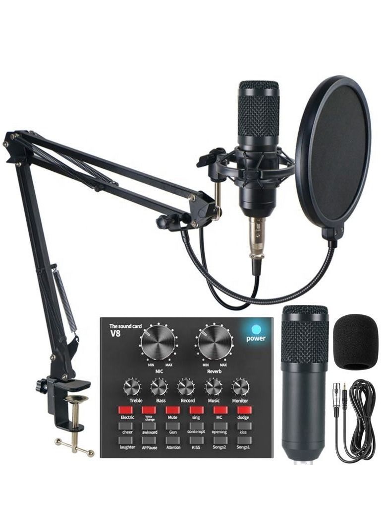 ELTRAZONE V8 Live Sound Card And vm-800 Condenser Microphone Bundle Pack 0.2 g