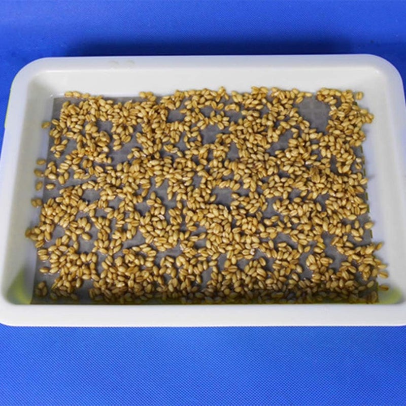 woobles Microgreens Growing Kit Growing Kit 100 Pcs Sprouter Germinating Paper Vegetable Planting Paper for Plant Germination Tray (Without Seedling Tray) Microgreens 52.5x21cm - Image 2