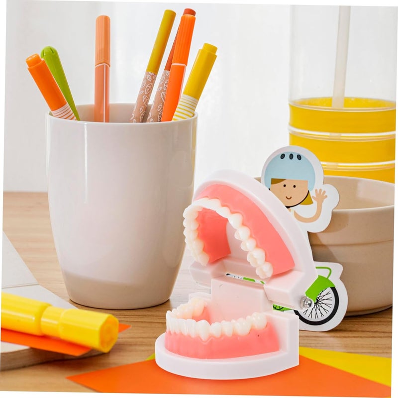 Anatomically Accurate Teeth Practice Model For Kids Dental Health Education Tool - Image 5