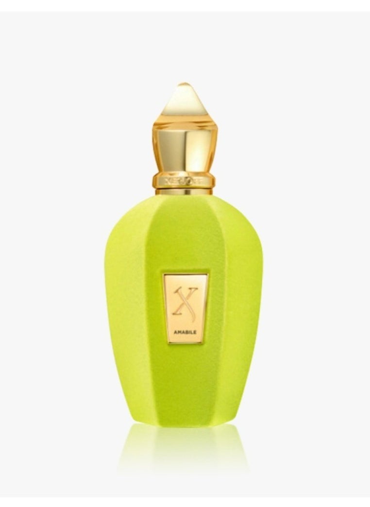 Xerjoff - Tester Xerjoff Amabile - 100ml, unisex - Image 1