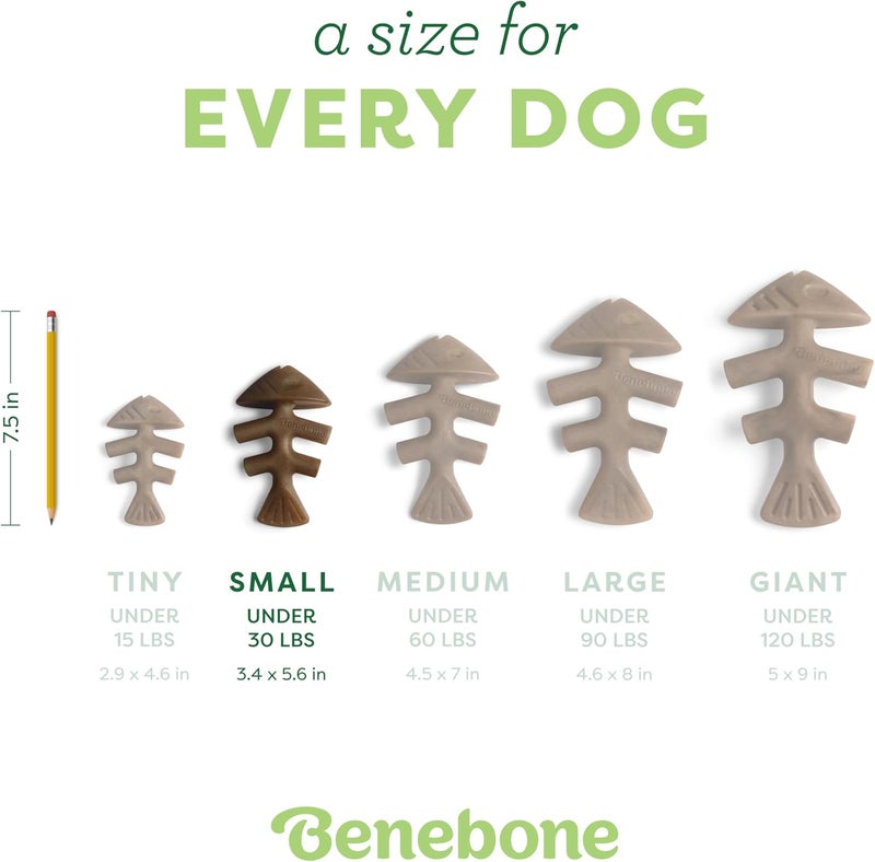Benebone - Fishbone - S - 12cm - (810054210061) /Dogs /12 cm - Image 4