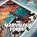 lamplig Puzzles for Adults 1000 Pieces Japanese Fall Kyoto Landscape Lake Nature 1000 Piece Puzzle for Adults Seniors Jigsaw Puzzles 1000 Pieces with Letters on Back Gifts Decor 11 Poster - Image 4