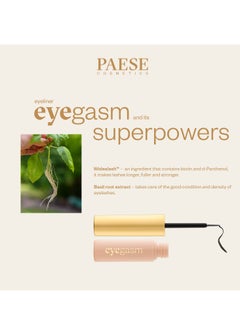 Paese Liquid Eyeliner Waterproof with Conditioner  01 Black  - Image 4
