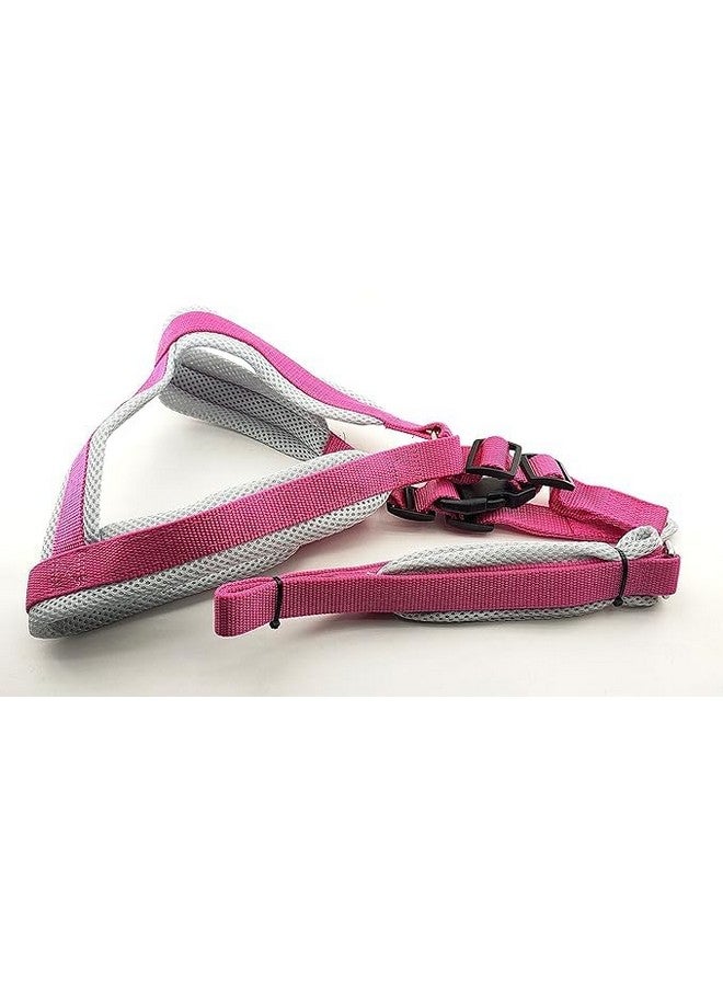 Pet Vest Harness, Adjustable 1 Inch Width Nylon Soft Padded Mesh Comfort Fit Harness For Large Breed Dogs | No Pull No Choke (Rose) - Image 5