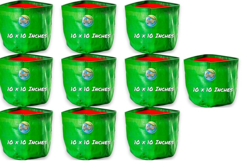 MASHKI Green Bags for Plants, HDPE Grow Bags, 10x10 Inches, Plant Bags for Home Gardening, Indoor Outdoor Use - Image 1
