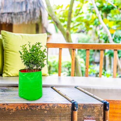 MASHKI Green Bags for Plants, HDPE Grow Bags, 10x10 Inches, Plant Bags for Home Gardening, Indoor Outdoor Use - Image 4