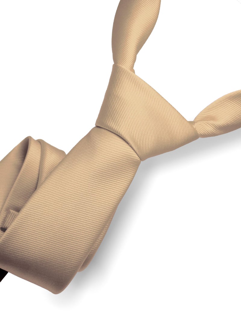 RBOCOTT Silk Champagne Tie Business Wedding Formal Necktie for Men (Champagne) - Image 2