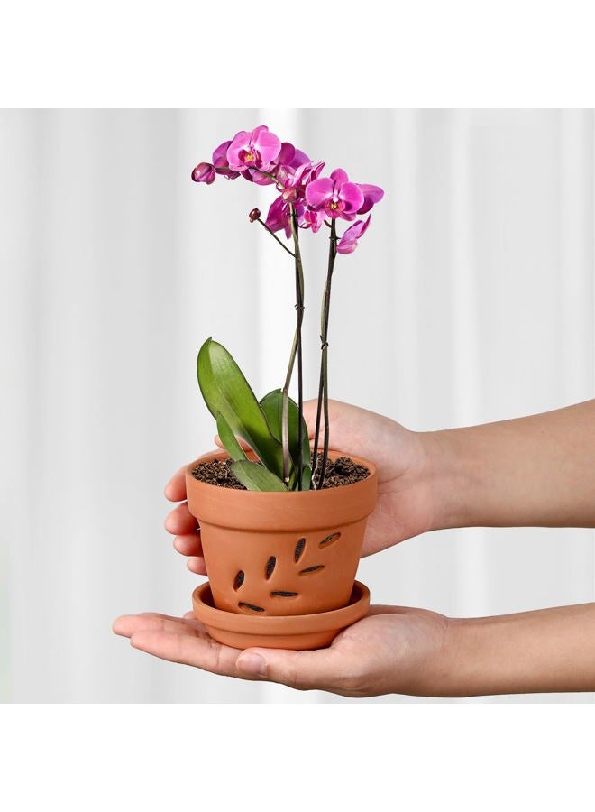 JUXYES 6 Pack Small Terracotta Orchid Pots with Holes and Saucers, Clay Orchid Planter Pots for Repotting, Plant Flower Pots for Orchid Indoor and Outdoor Promotes Air Circulation, 4 Inches - Image 3