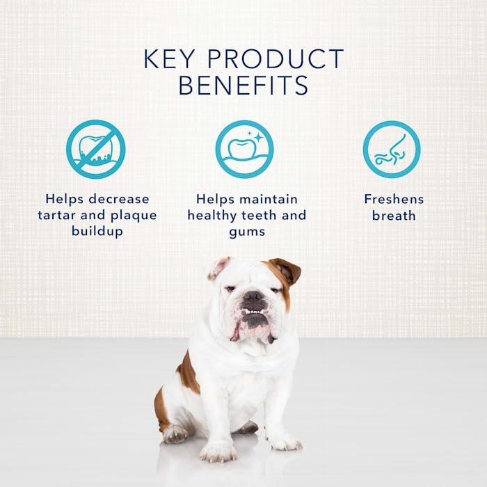 بلو بافلو حبوب مضغ طبية طبيعية كبيرة من Blue Buffalo Dental Bones، للكلاب (وزن 50 رطل فأكثر)، عبوة سعة 36 أونصة - Image 4