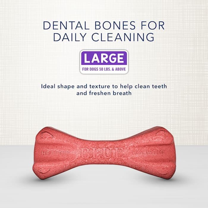 بلو بافلو حبوب مضغ طبية طبيعية كبيرة من Blue Buffalo Dental Bones، للكلاب (وزن 50 رطل فأكثر)، عبوة سعة 36 أونصة - Image 3