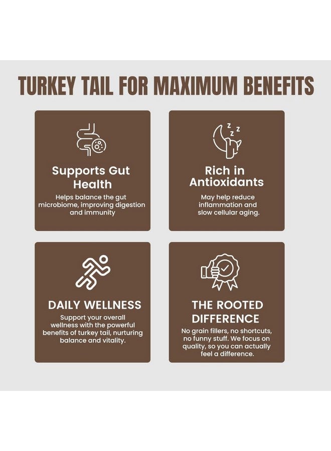 Rooted Active's Turkey Tail Organic Mushroom Powder Pouch, 45 Grams, 30 Servings, Immune Support, Ayurveda Nootropic Supplement, Beta-Glucans, Gut Health & Holistic Defense Mushroom Supplement - Image 4