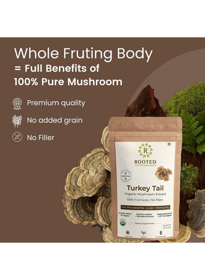 Rooted Active's Turkey Tail Organic Mushroom Powder Pouch, 45 Grams, 30 Servings, Immune Support, Ayurveda Nootropic Supplement, Beta-Glucans, Gut Health & Holistic Defense Mushroom Supplement - Image 3
