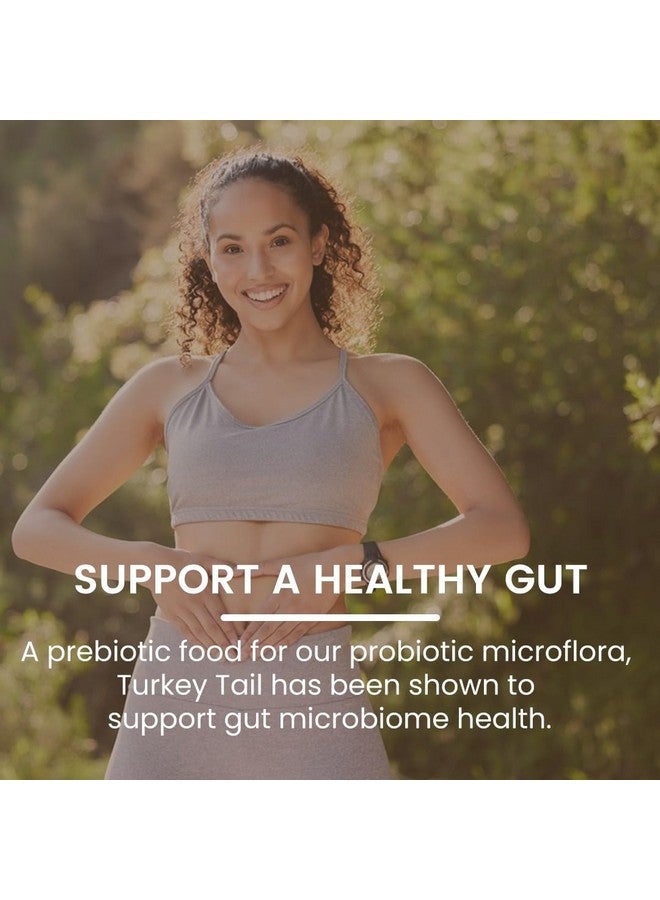 Rooted Active's Turkey Tail Organic Mushroom Powder Pouch, 45 Grams, 30 Servings, Immune Support, Ayurveda Nootropic Supplement, Beta-Glucans, Gut Health & Holistic Defense Mushroom Supplement - Image 5