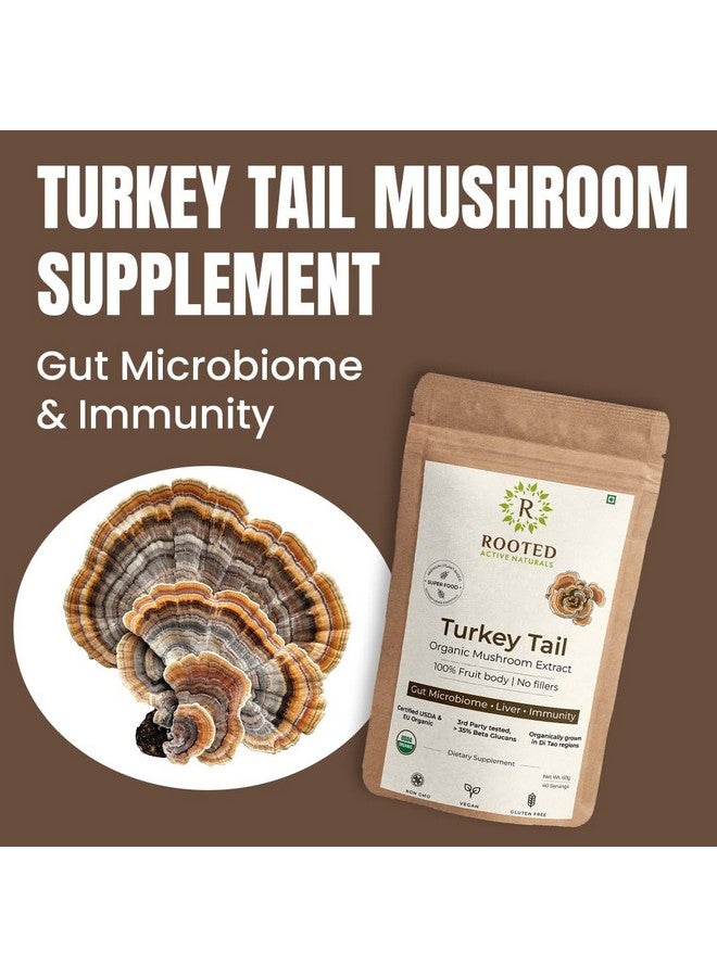 Rooted Active's Turkey Tail Organic Mushroom Powder Pouch, 45 Grams, 30 Servings, Immune Support, Ayurveda Nootropic Supplement, Beta-Glucans, Gut Health & Holistic Defense Mushroom Supplement - Image 2