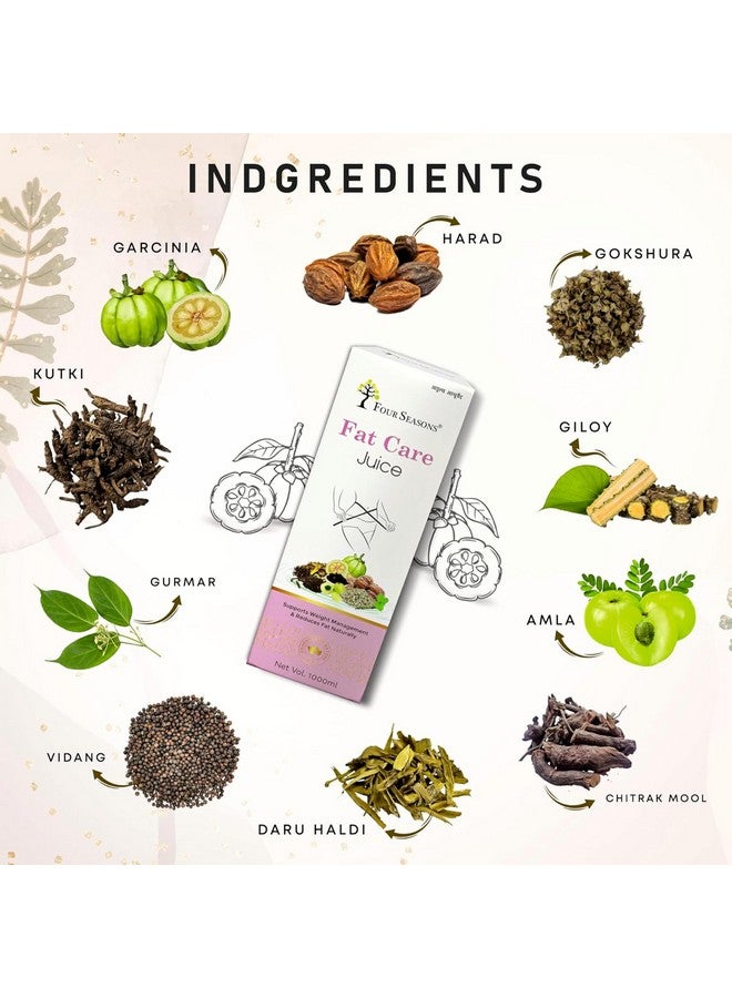 Four Seasons Fat Care (Get Slim) Juice 1000ml| Burn Fat - for Men & Women | Enriched with 12 Powerful Herbs Amla, Giloy, Harad, Gokharu, Daru Haldi | Improve Metabolism and Digestion (1) - Image 2