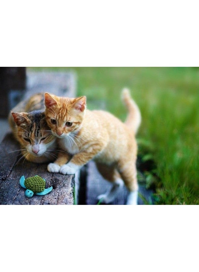 كونج - عشبة النعناع البري الفاخرة الطبيعية - مزروعة في أمريكا الشمالية - أونصة واحدة - Image 3