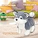 Easfan Walking Puppy Interactive Electronic Plush Husky Toy with Sounds and Movements Educational Plush Toy Birthday Gifts for Kids Girls 7 - Image 4