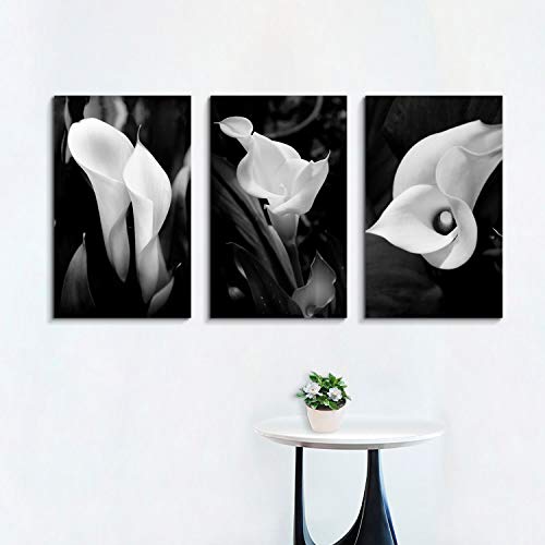 Hardy Gallery Floral Artwork Nature Flower Picture: Calla-Lily Print on Canvas Set for Wall Art - Image 2