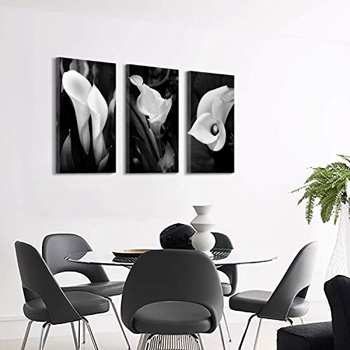 Hardy Gallery Floral Artwork Nature Flower Picture: Calla-Lily Print on Canvas Set for Wall Art - Image 5