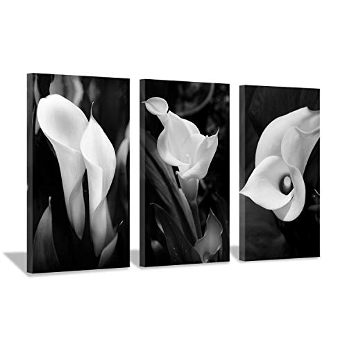 Hardy Gallery Floral Artwork Nature Flower Picture: Calla-Lily Print on Canvas Set for Wall Art - Image 1