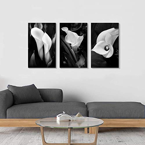 Hardy Gallery Floral Artwork Nature Flower Picture: Calla-Lily Print on Canvas Set for Wall Art - Image 4