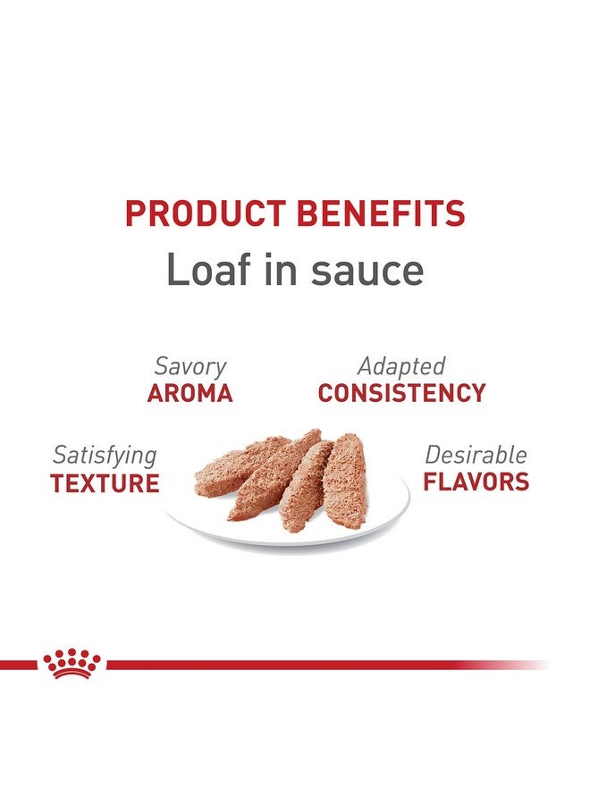 Royal Canin Feline Health Nutrition Adult Instinctive Loaf in Sauce Canned Cat Food, 3 oz can (24-count) - Image 1