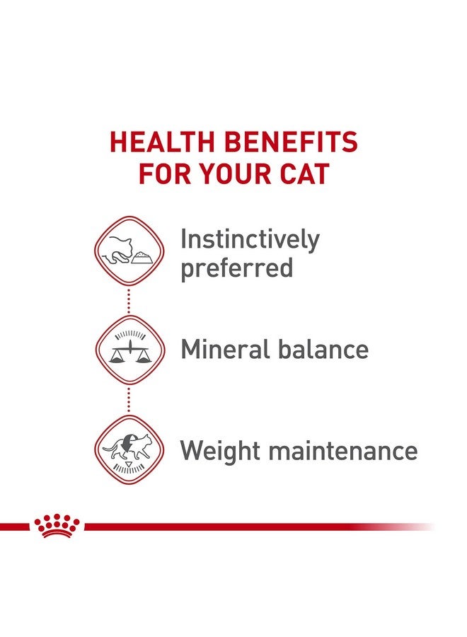 Royal Canin Feline Health Nutrition Adult Instinctive Loaf in Sauce Canned Cat Food, 3 oz can (24-count) - Image 2