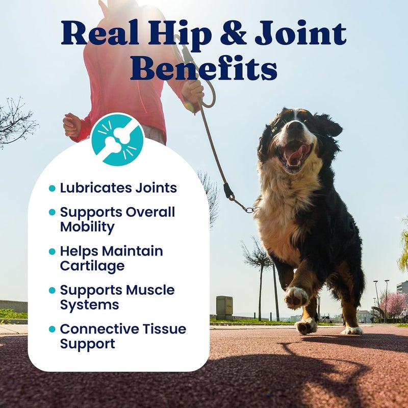 Solid Gold Hip and Joint Supplement for Dogs - Glucosamine Chondroitin MSM for Hip & Joint Pain Relief for Dogs - Puppy, Adult & Senior Dog Supplements for Dog Arthritis Pain Relief & Mobility - 120ct - Image 4