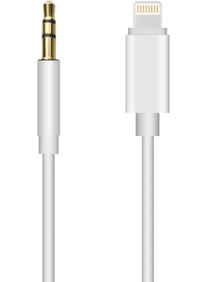 Hiqonic IPhone 7 8 x Max 11 12 Pro Compatible Lightning To Aux Cable 1m Car Music Headphone Audio Aux Converter  - Image 1