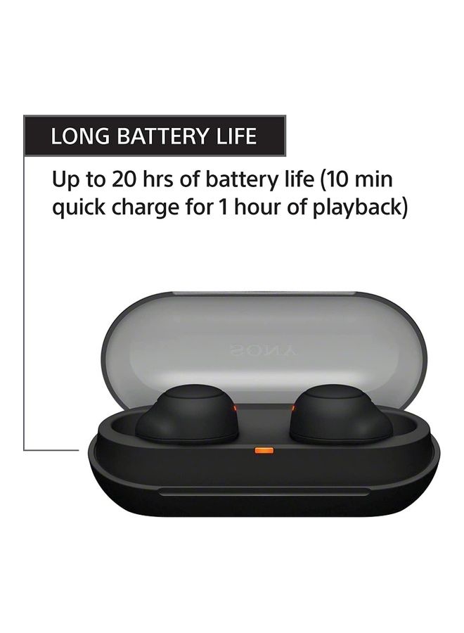 Sony WF-C500 Truly Wireless In-Ear Bluetooth EarBud Headphones With Mic And IPX4 Water Resistance Black - Image 3
