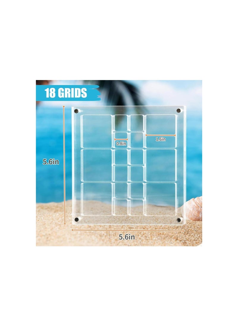 Acrylic Magnetic Seashell Display Box, Acrylic Display Grid Box, Clear Sea Shell Display Box, Decorative Box for Seashell Starfish Trinket (5.6in*5.6in)