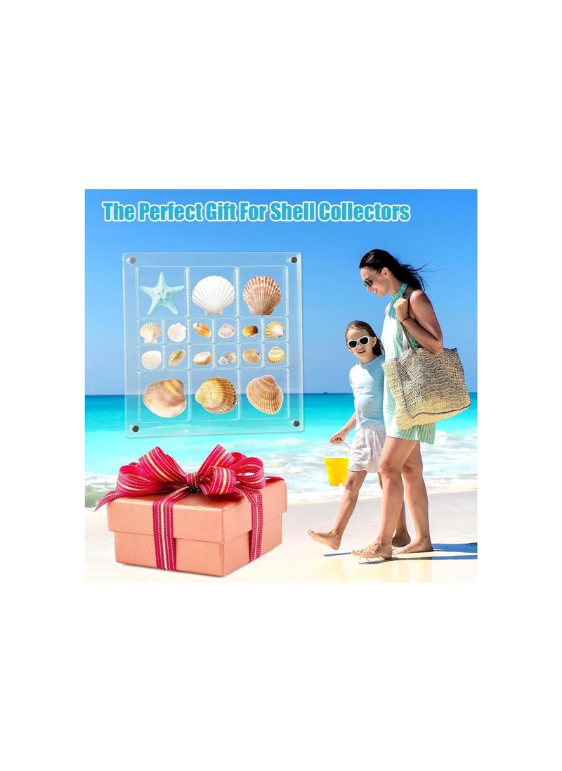 Acrylic Magnetic Seashell Display Box, Acrylic Display Grid Box, Clear Sea Shell Display Box, Decorative Box for Seashell Starfish Trinket (5.6in*5.6in)