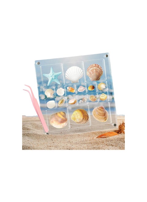 Acrylic Magnetic Seashell Display Box, Acrylic Display Grid Box, Clear Sea Shell Display Box, Decorative Box for Seashell Starfish Trinket (5.6in*5.6in)