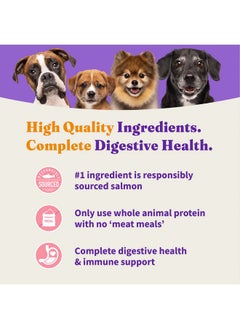 Purely For Pets Holistic Dog Food, Complete Digestive Health Wild-Caught Salmon And Whitefish Recipe, Dry Dog Food Bag, Small Breed Formula, 3.5-Lb Bag - pzsku/ZC74A2D79A201146309FCZ/45/_/1735214609/2fcdb05a-2c2d-47bc-b6bc-32141326d046