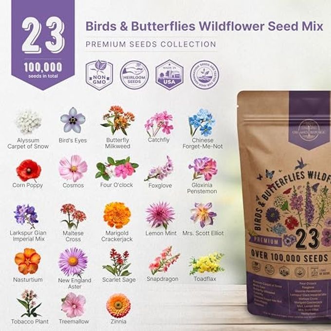 Organo Republic 23 Wildflower Seeds Annual & Perennial Mix For Indoor & Outdoors, Attract Birds & Butterflies 100,000+ Non-Gmo, Heirloom Garden Seeds, 4Oz Packet For Growing Wild Flowers - Image 3