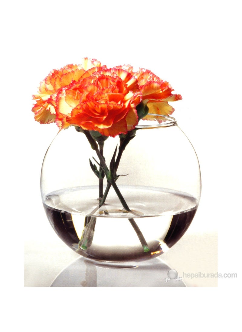 Paşabahçe Botanica Aquarium Vase 