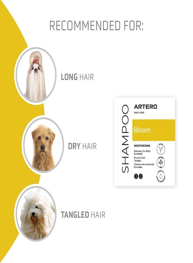 Artero Bloom Argan Shampoo 10.14 fl oz - Deeply Hydrates & Restores Shine for Dry, Damaged Coats - Creamy, Gentle Formula with Argan Oil - Image 2
