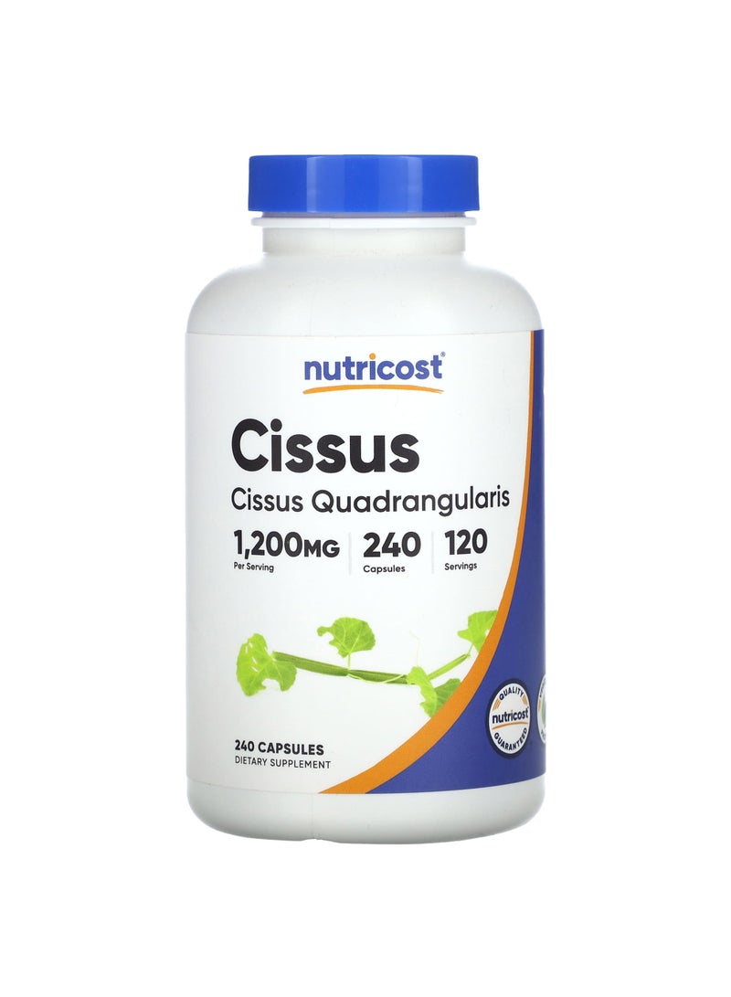 Cissus, 240 Capsules (600 mg per Capsule)