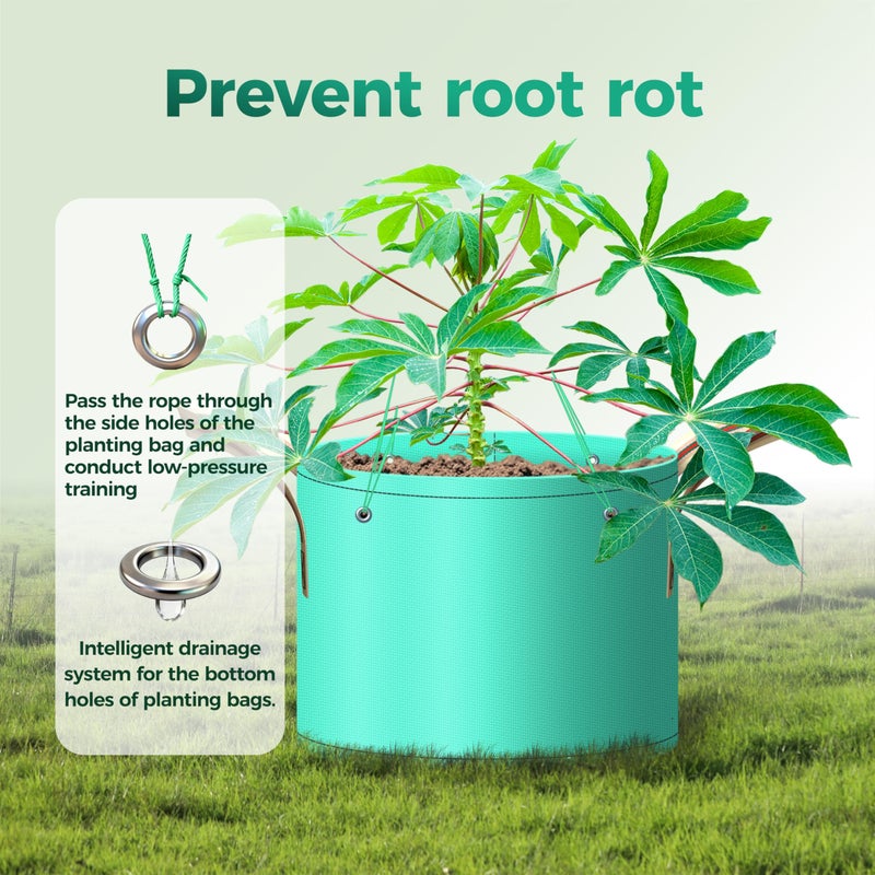 SPONDWILD 7 Pcs 10 Gallon Grow Bags, PE Garden Grow Bags for Plants with Branch-Binding Holes and Bottom Drain Holes, Ideal for Vegetables, Strawberries and Flowers - Image 5