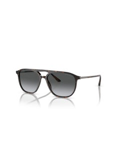 GIORGIO ARMANI Giorgio Armani 0AR8179 5026T356 Havana Geometric Acetate For Adult Men  - Image 1