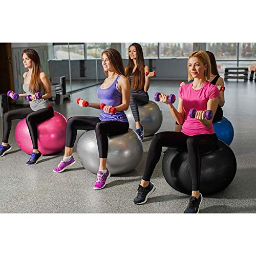 Emoly Exercise Ball for Yoga, Fitness, Balance Stability, Extra Thick Professional Grade Balance & Stability Ball - Anti Burst, Workout Program 2020 (Pink, 45cm) - Image 5