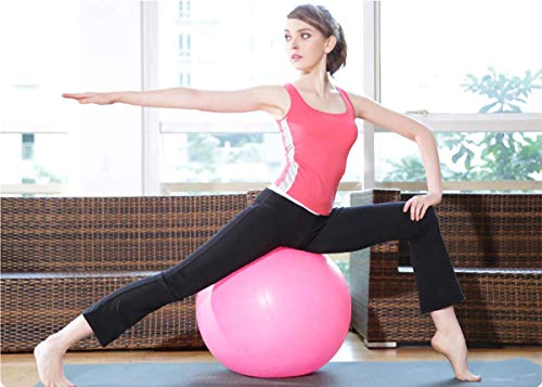 Emoly Exercise Ball for Yoga, Fitness, Balance Stability, Extra Thick Professional Grade Balance & Stability Ball - Anti Burst, Workout Program 2020 (Pink, 45cm) - Image 3