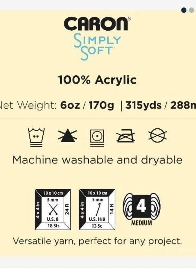 CARON Simply Soft Party Yarn, 3 oz, Medium Worsted 4 Gauge, Royal - For Crochet, Knitting & Crafting - Image 4