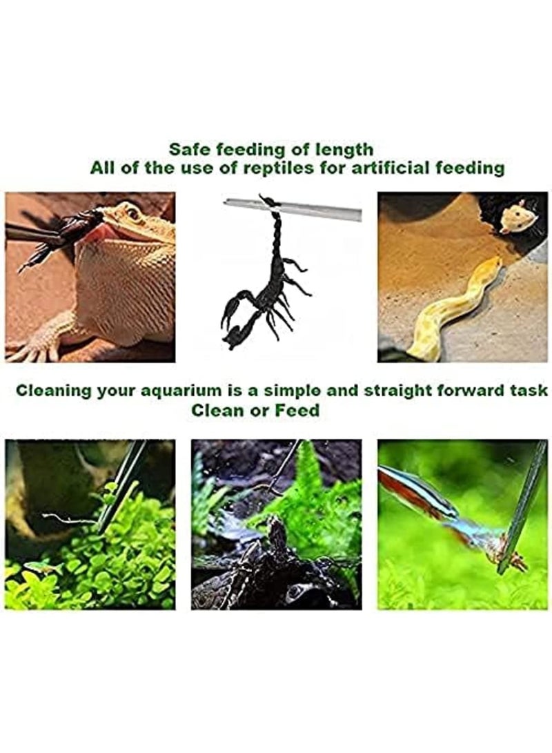 Luckam Durable Stainless Steel Long Tweezers with Curved and Straight Tips for Reptile Feeding and Aquascaping Maintenance, 15 Inches, 1 Piece - Image 2