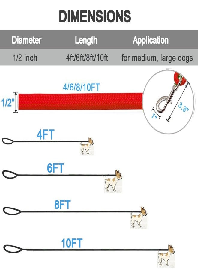 MayPaw 4/6 /8/10 FT Dog Leash, Classic Solid Colors, Strong Nylon Rope Dog Leash Reinforced with Leather Tailor Connection Heavy Duty Silver Clasp (red, 6ft*1/2") - Image 4