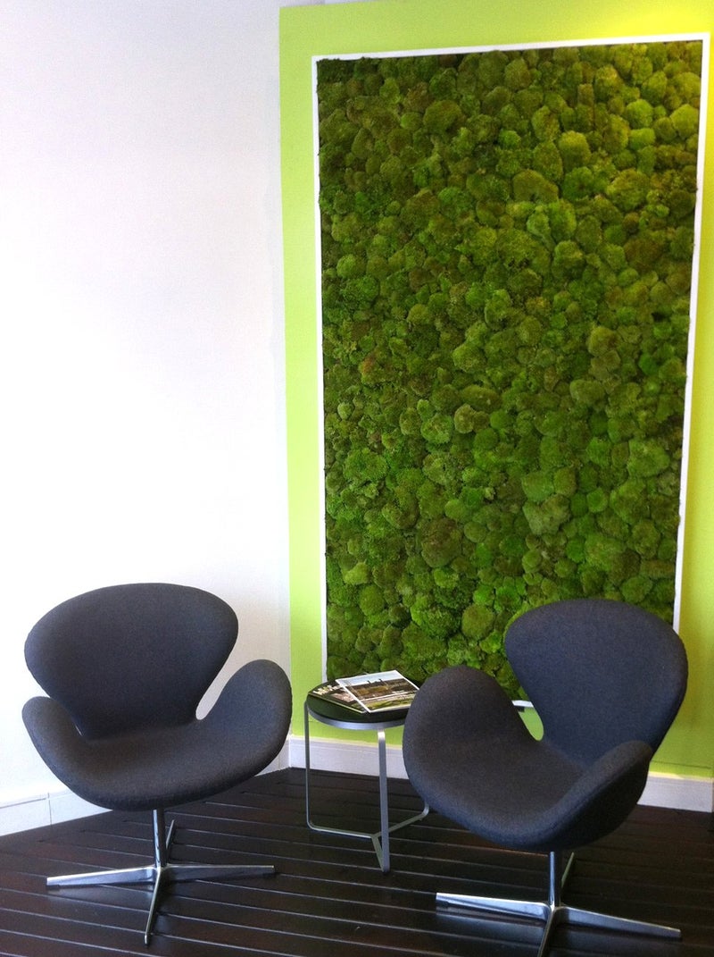 SuperMoss (21537 Mood Moss Dried, Natural, Bulk 1565 Cubic Inches - Image 3