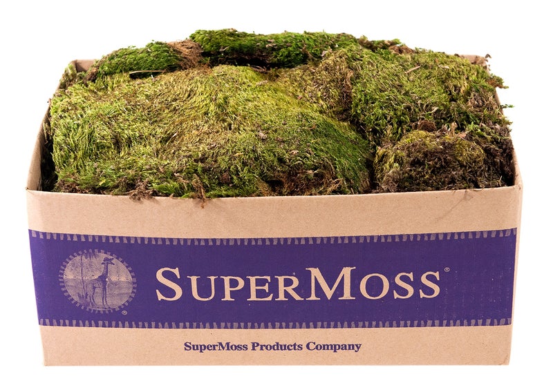 SuperMoss (21537 Mood Moss Dried, Natural, Bulk 1565 Cubic Inches - Image 5