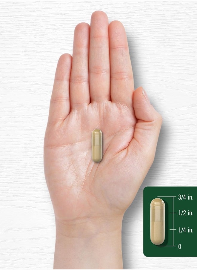 CARLYLE - Bacopa Monnieri Capsules | 180 Capsules | Gluten Free Supplement - Image 1